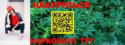 МДПВ Тула